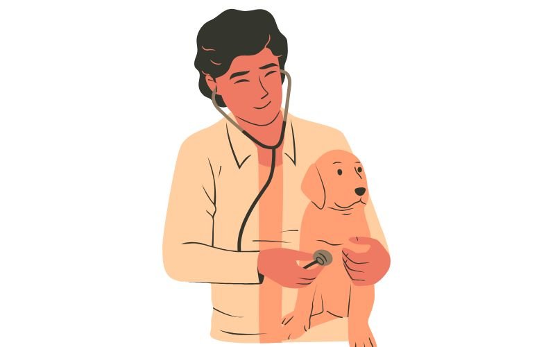 🦠Doenças Mais Comuns em Cães: Sintomas, Prevenção e Quando se Preocupar
