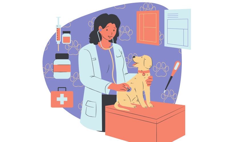 🐕 Como Saber se o Cachorro Está Doente: 10 Sinais de Alerta Que Você Não Pode Ignorar