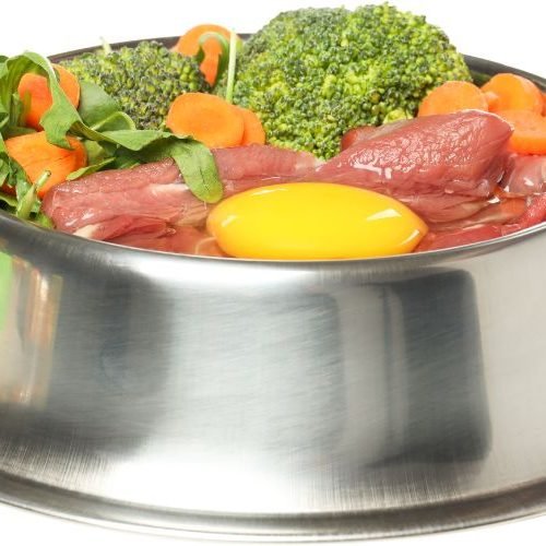 Alimentos Proibidos para Cães: Lista Completa do Que Nunca Dar ao Seu Pet