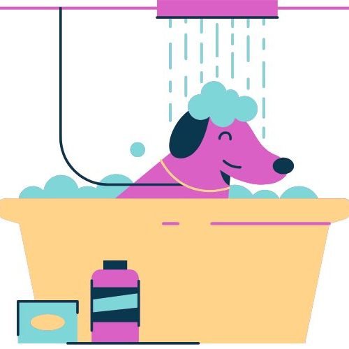 🐶 Melhor Shampoo para Cachorro (Top 7): Como Escolher o Ideal para Deixar Seu Pet Limpo, Cheiroso e Saudável