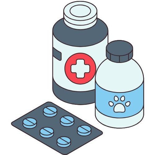 🐛Vermífugo para Cachorro: Quando Dar, Tipos, Frequência e Guia Completo