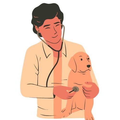 🦠Doenças Mais Comuns em Cães: Sintomas, Prevenção e Quando se Preocupar