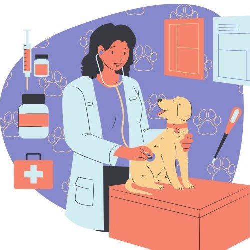 🐕 Como Saber se o Cachorro Está Doente: 10 Sinais de Alerta Que Você Não Pode Ignorar