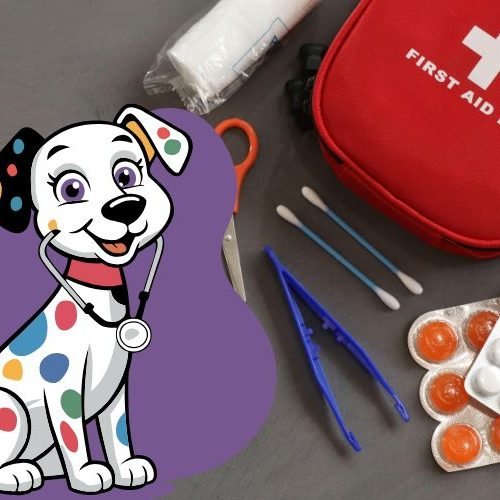 🚑Primeiros Socorros para Cachorro: O Que Fazer em Emergências e Como Salvar a Vida do Seu Pet